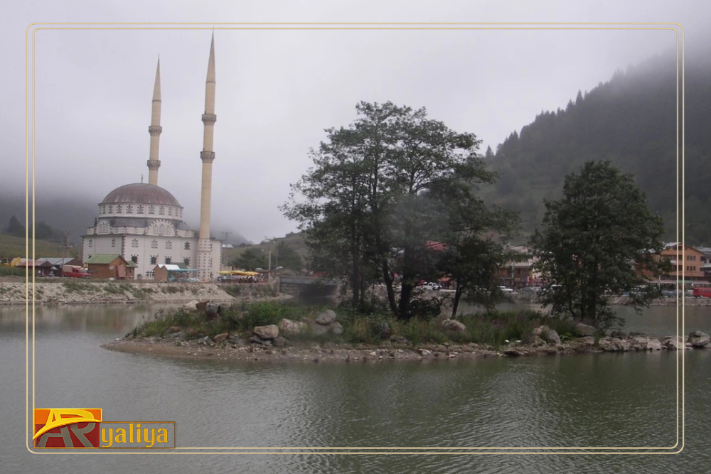 الخاتمة: رحلتك مع Argaliya تبدأ من هنا