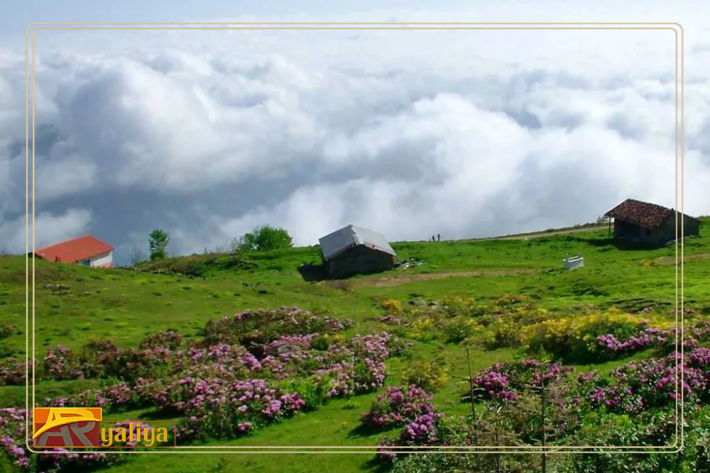 برنامج سياحي في شمال تركيا 9 أيام: دليلك المتكامل لأجمل عطلة