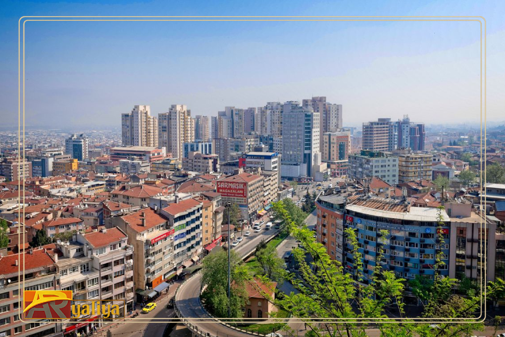 خلاصة البرنامج