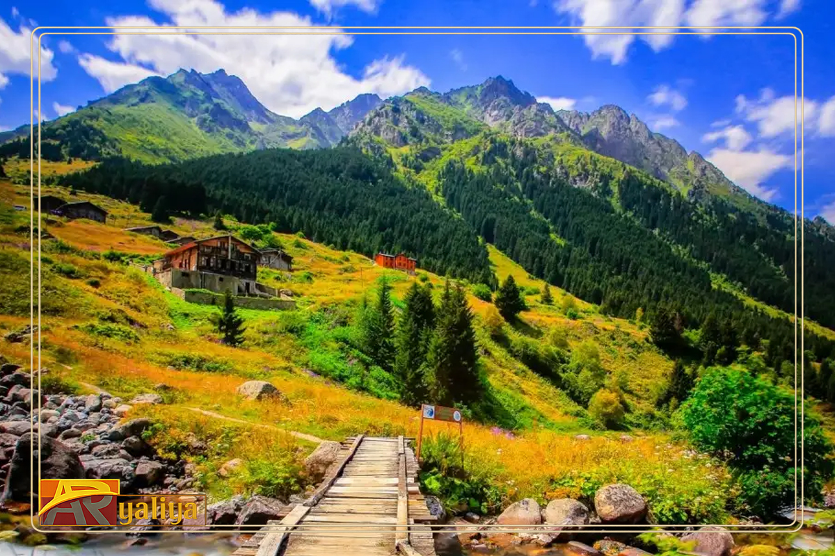 كيف تجعل رحلة السياحة في آيدر المسافرون العرب مريحة وبدون تعب؟