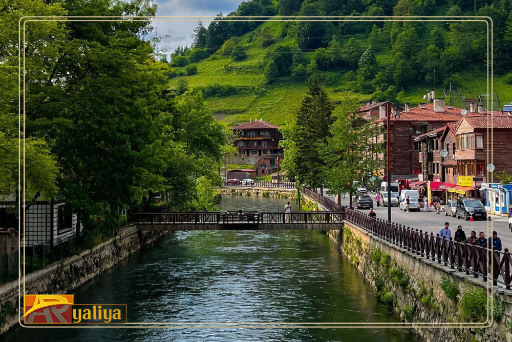 أسئلة شائعة عن الرحلة