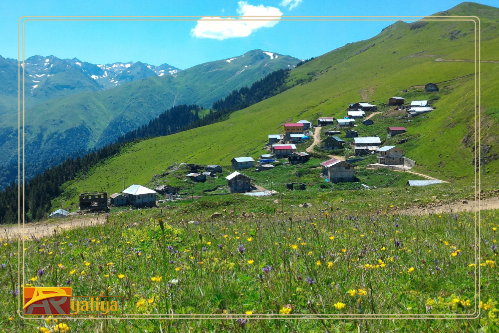 البرنامج السياحي يومًا بيوم