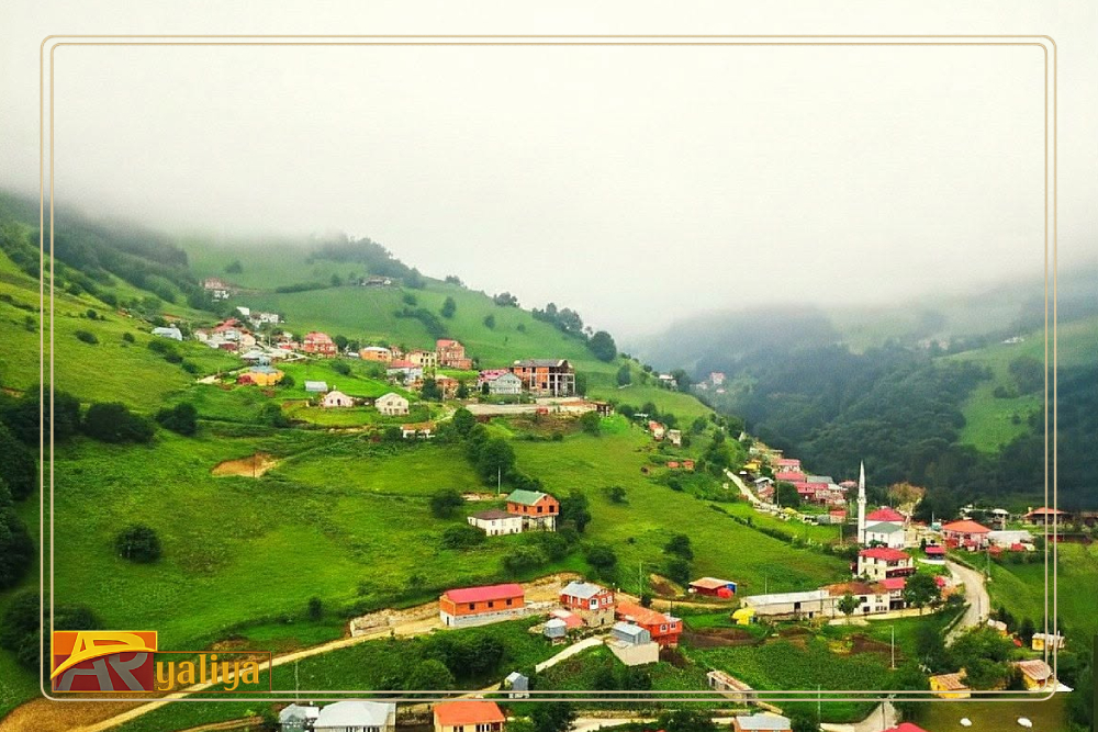 الخاتمة